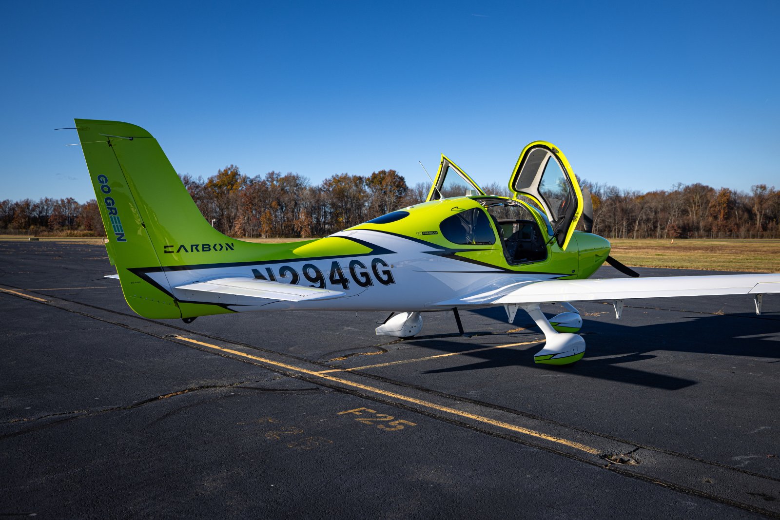 Cirrus SR-series aircraft N294GG detail 016